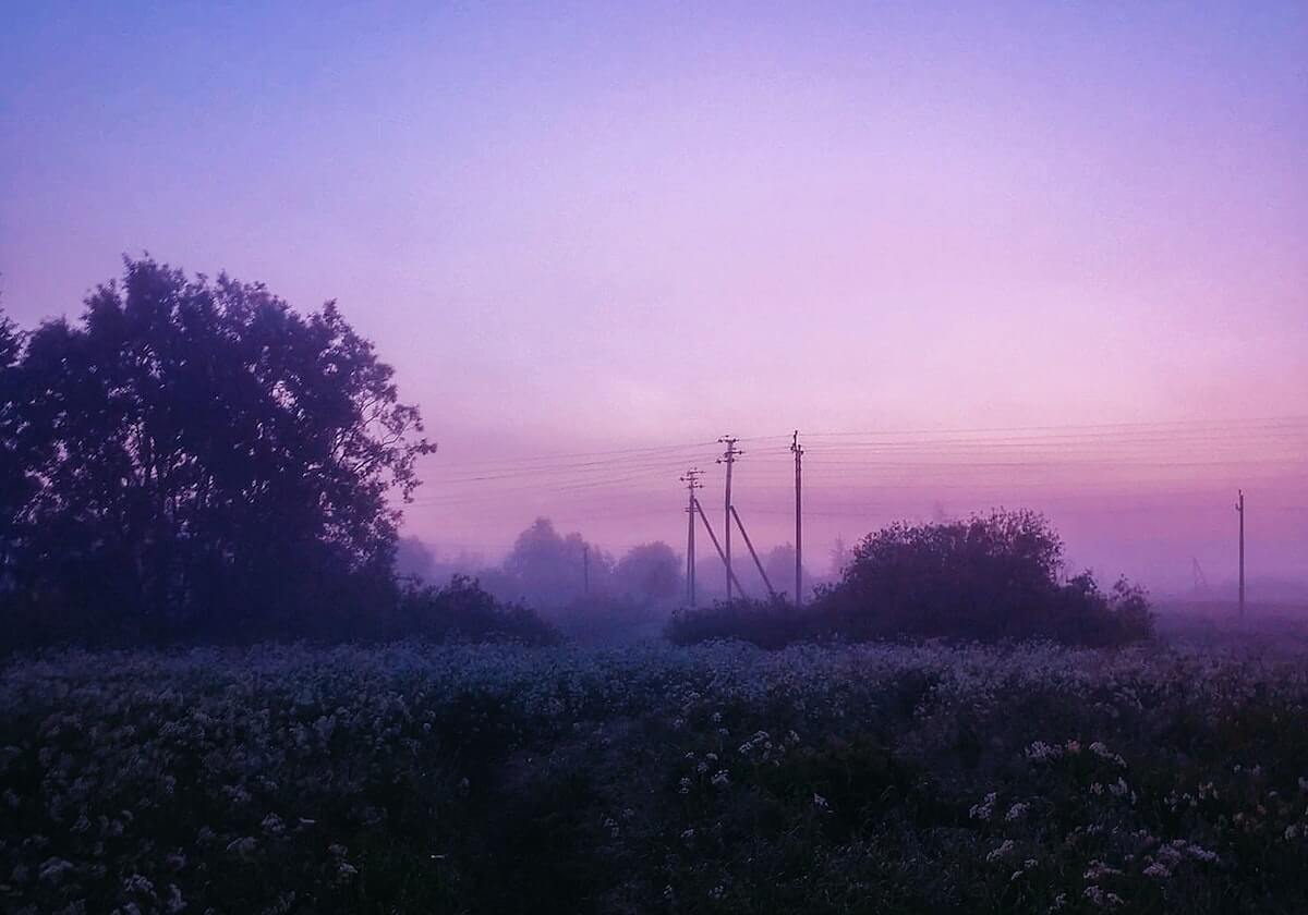 泰山再下一城!谢文能精准传中,卡扎伊什维利头球破门